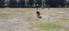 Ledenuitje 2022 Ledenuitje 2022