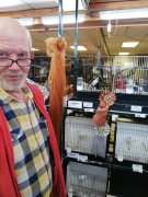 Prijzen gevallen op de Kleine Kring