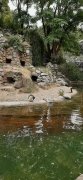 Ons uitje naar Burgers Zoo Ons uitje naar Burgers Zoo
