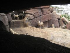 Ons uitje naar Burgers Zoo Ons uitje naar Burgers Zoo
